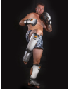 Espinilleras Buddha Titanium Blancas | Muay Thai y Kick Boxing